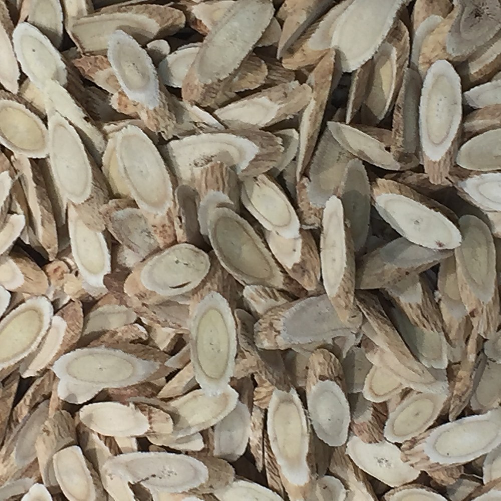 Dried astragalus root slices